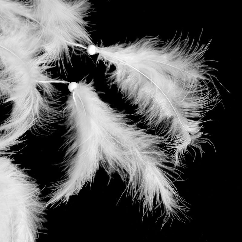 Home Decorations Wedding Decoration Feathers
